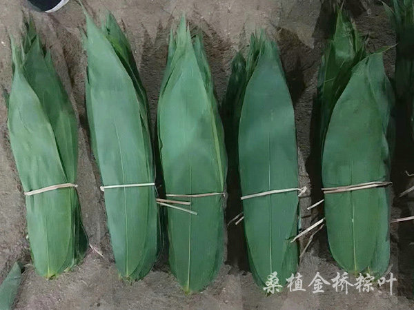 60-100g规格粽子