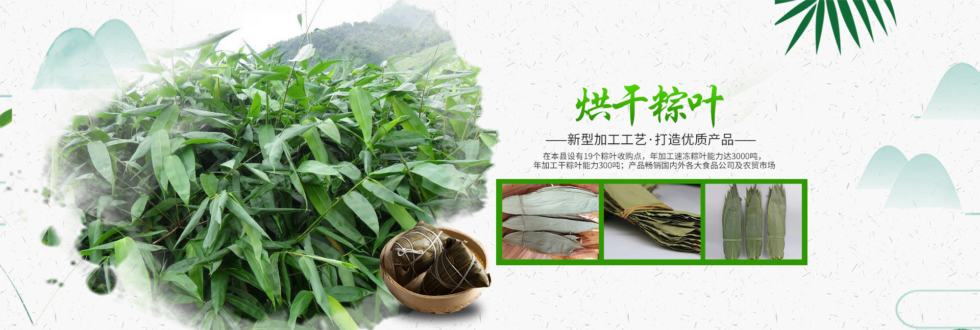 桑植金桥农产品有限责任公司_桑植粽叶收购|桑植粽叶加工