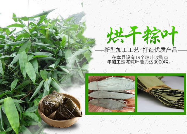 桑植金桥农产品有限责任公司_桑植粽叶收购|桑植粽叶加工