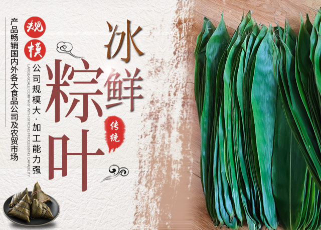 桑植金桥农产品有限责任公司_桑植粽叶收购|桑植粽叶加工
